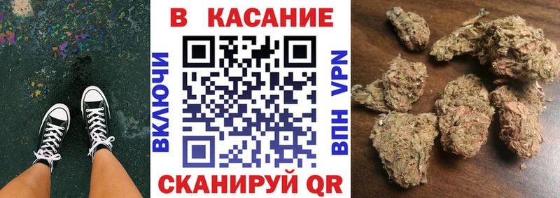 Каннабис Моздок
