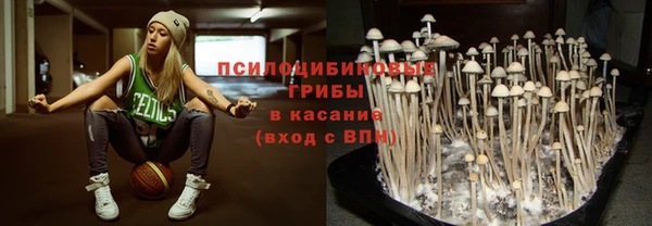 ГАЛЛЮЦИНОГЕННЫЕ ГРИБЫ Белоозёрский